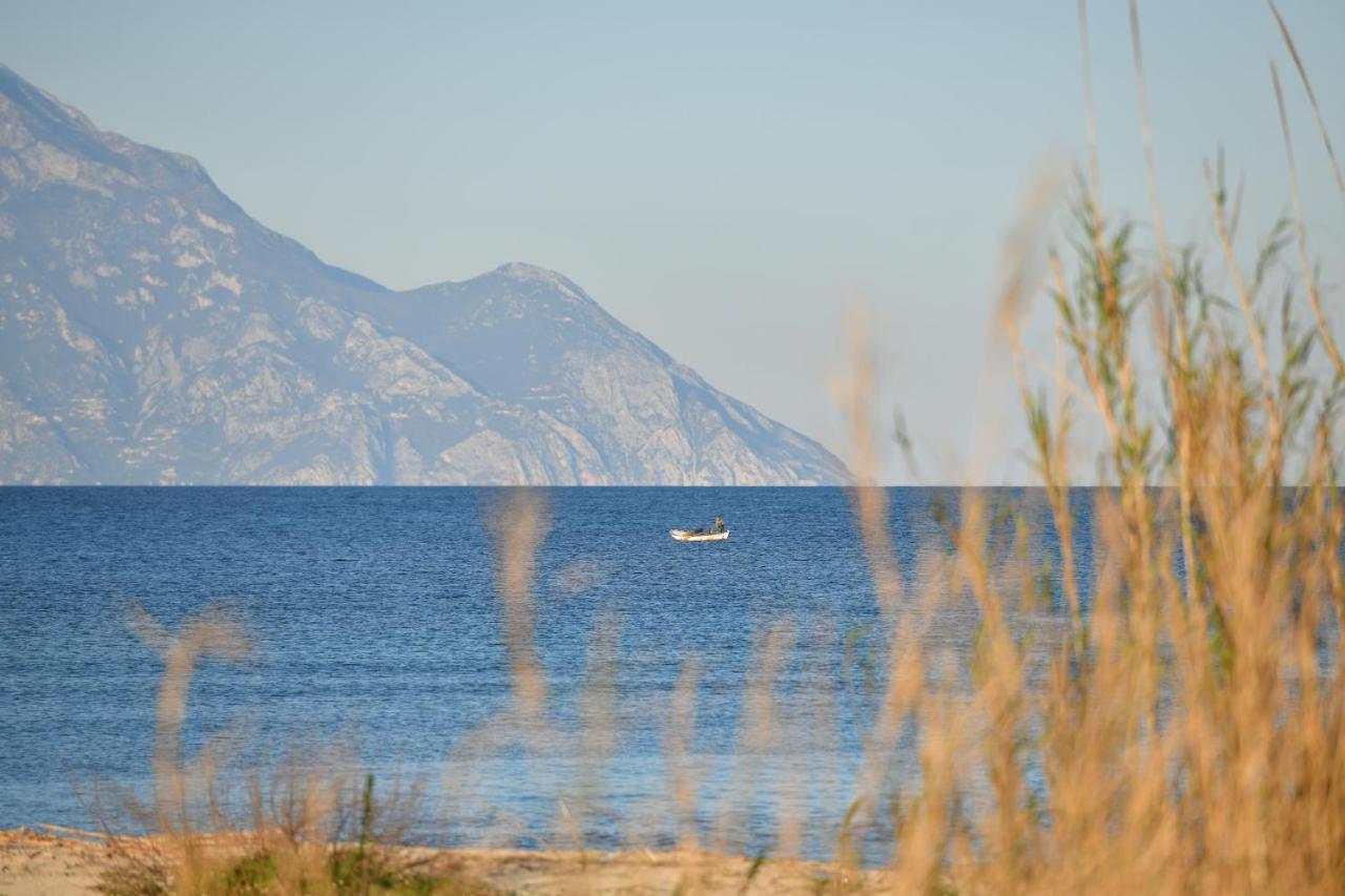 Villa Menie - Golden Fig Sykia Lodge Paralia Sikias Eksteriør bilde